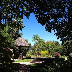 uma vista para um jardim com 2 cadeiras e uma mesa em Pousada Paralelo 14 em Alto Paraíso de Goiás