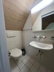 a bathroom with a toilet and a sink at Niederdorf, Baselland Hotel in Niederdorf