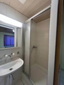 a bathroom with a shower and a sink and a tub at Niederdorf, Baselland Hotel in Niederdorf