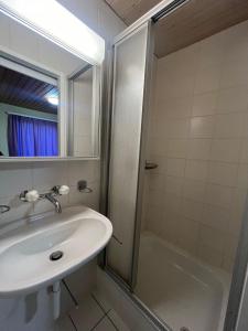a bathroom with a sink and a shower at Niederdorf, Baselland Hotel in Niederdorf