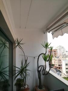 a group of potted plants sitting on a balcony at Cascais Luxury Top Floor Apt in Cascais