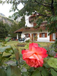 uma rosa vermelha em frente a uma casa em Casa Federica em Valdidentro