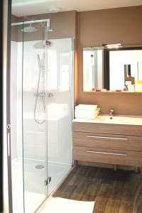 ein Bad mit einer Glasdusche und einem Waschbecken in der Unterkunft Hôtel Les Demoiselles in Essoyes