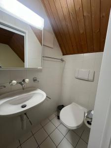 a bathroom with a sink and a toilet at Niederdorf, Baselland Hotel in Niederdorf