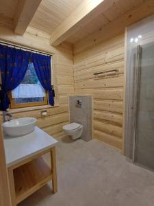 a bathroom with a toilet and a sink and a shower at Domki po balu 