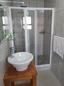 uma casa de banho com um lavatório branco e um chuveiro em M & N Guest House em Ermelo