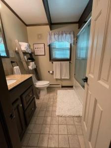 uma casa de banho com um WC, um lavatório e um chuveiro em Cozy Poconos retreat on Bushkill Creek w/ Firepit! em East Stroudsburg