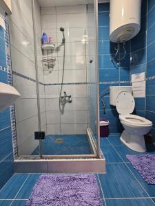 a bathroom with a shower with a toilet and a purple rug at Apartments Aerodrom in Podgorica