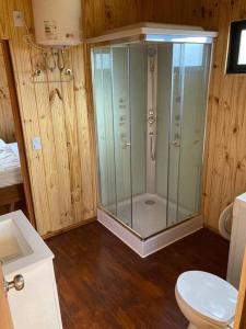 uma casa de banho com um chuveiro e um WC. em Chacra Celeste: montañas y mar em Piriápolis