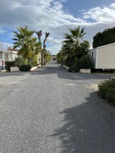 une rue vide avec des palmiers et un bâtiment dans l'établissement Mobil home camping 4* la carabasse Vias, à Vias
