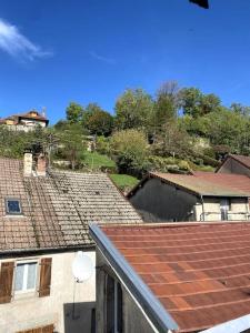uma vista superior dos telhados de edifícios e árvores em Studio Orgelet-Lac de Vouglans em Orgelet