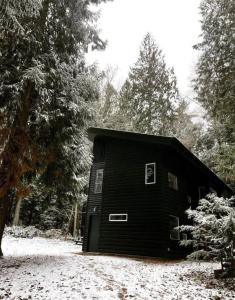 een zwarte hut in het bos met sneeuw op de grond bij Guemes Island Road Modern Home in Anacortes