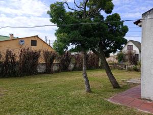 een boom in een tuin naast een huis bij Hermosa casa para alquilar en Aguas Dulces in Aguas Dulces