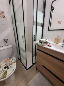ein Bad mit einer Dusche, einem WC und einem Waschbecken in der Unterkunft Charmant T2 climatisé proche Calvi centre in Calvi