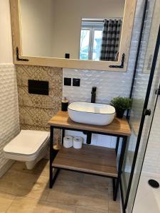 a bathroom with a sink and a toilet at Apartament Janosik in Zakopane