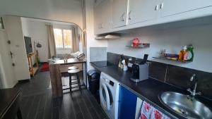 eine Küche mit einer Spüle und einer Waschmaschine in der Unterkunft Cocon douillet de Mélanie in Marignane