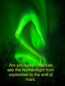 are you lucky you can see the northern lights from september to the end at Kulpmo Gård Jarfjord-Kirkenes in Kirkenes