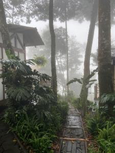 Afbeelding uit fotogalerij van Montana Posada in Roldanillo