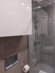 y baño con ducha y aseo. en Apartament Gdańska, en Łódź