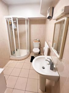 y baño con lavabo, ducha y aseo. en Buttermilk Walk Room en Galway