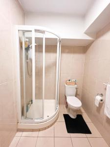 een badkamer met een douche en een toilet bij Buttermilk Walk Room in Galway
