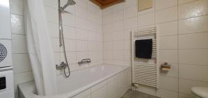 Koupelna v ubytování Apartment Honegg + 16 fotografií