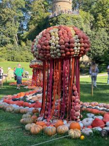 a display of fruits and vegetables on the grass at Zimmer zur ehemaligen Weinstube in Untermberg