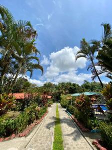明多的住宿－阿拉薩里酒店，棕榈树度假村的步行道
