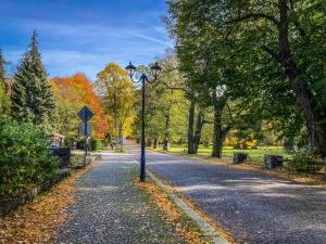 Fotografie z fotogalerie ubytování Apartmán Hubertus No. 17 v destinaci Karlova Studánka