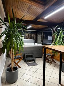 a room with a tub and a potted plant at Appt privé, Jaccuzi pro, 2 pers, 100m2, jardin, proche, Parc des Expositions, Aéroport CDG, Villepinte in Villepinte