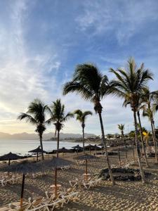 un gruppo di palme e ombrelloni su una spiaggia di Bungalow Ara a Puerto del Carmen