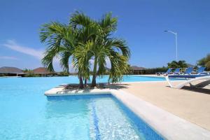 Bazén v ubytování The palm of luxury nebo v jeho okolí
