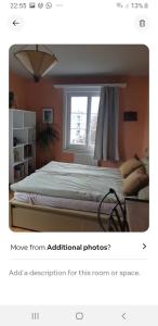 een slaapkamer met een bed en een raam bij Central and cosy apartment tramstrasse 8050 Zürich in Zürich