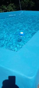 een blauwe frisbee in een blauw zwembad bij POSADA EL ROMANCE in Tandil +14 foto's