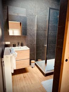 een badkamer met een douche en een wastafel bij Prim'tout in Ohey