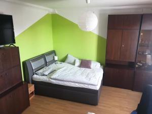 a bedroom with a bed with a green wall at Jonny room in Trnávka