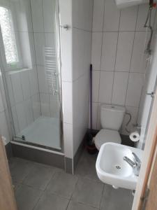 a bathroom with a shower and a toilet and a sink at Apartamenty Obok Ruin in Trzęsacz
