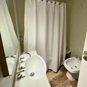 a bathroom with a sink and a white shower curtain at La Cava Apartments in Ciudad Lujan de Cuyo