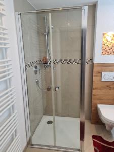 a shower with a glass door in a bathroom at WellandHome Aalen - Private Deluxe Apartment in Aalen