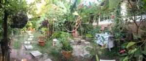 un jardín lleno de plantas y flores en La Casa De Arturito., en Santa Lucía