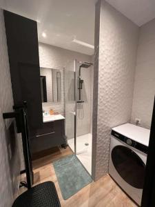 uma casa de banho com um lavatório e uma máquina de lavar roupa em Appartement Gîte Le Marmont em Châtillon-sur-Seine