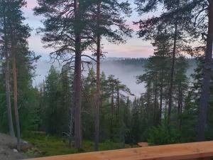 uma vista para uma floresta com nevoeiro à distância em Hilltop Villa at Lake Porontima em Kuusamo