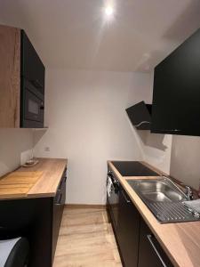eine kleine Küche mit einer Spüle und einer Arbeitsplatte in der Unterkunft Appartement Gîte Le Marmont in Châtillon-sur-Seine