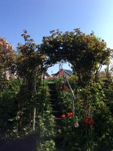 ノイシュタット・アン・デア・ヴァインシュトラーセにあるWohlfühl & Wellness Oaseのギャラリーの写真