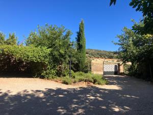a driveway with a gate and trees in front of a building at La Huerta el Bao in Alhambra +12 photos