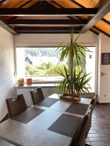 a dining room with a table and a plant at FeWo Skywalk Willingen in Stryck
