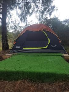 een tent op het gras in een veld bij Glamping Paraiso de Tausa in Tausa Viejo