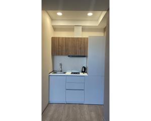 una piccola cucina con un lavello e un bancone di Crystal Loft Bakuriani - A406 a Bakuriani