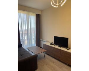 uma sala de estar com um sofá e uma televisão de ecrã plano em Crystal Loft Bakuriani - A406 em Bakuriani