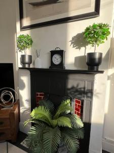 a shelf with potted plants and a clock on it at Hill Grove 2 Bedroom Apartment in Southend-on-Sea